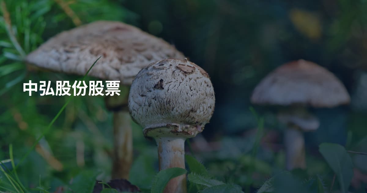 中弘股份股票