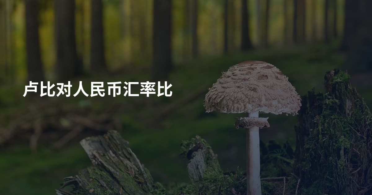 卢比对人民币汇率比