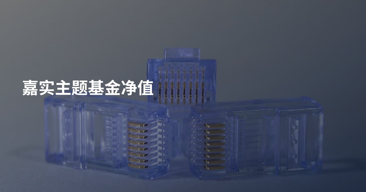 嘉实主题基金净值