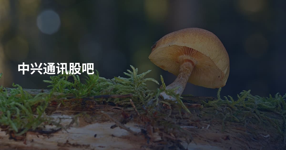 中兴通讯股吧
