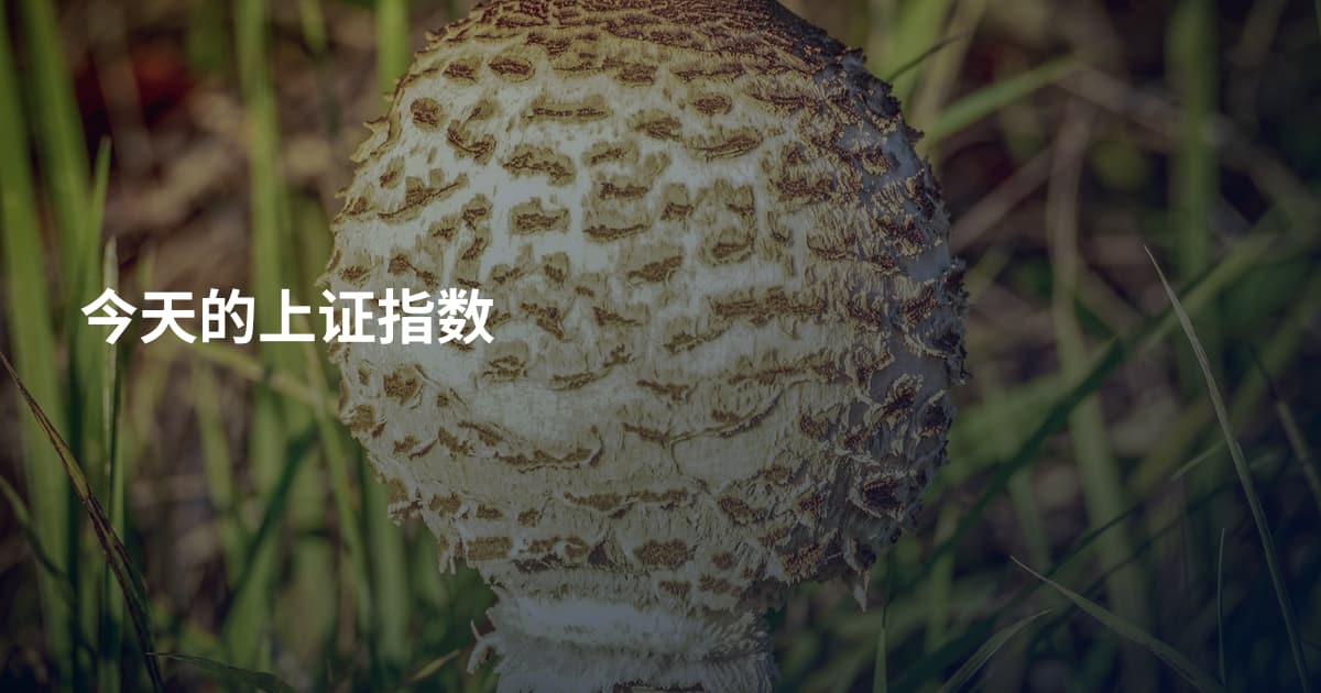 今天的上证指数