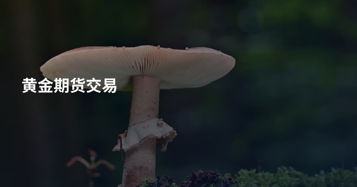 黄金期货交易