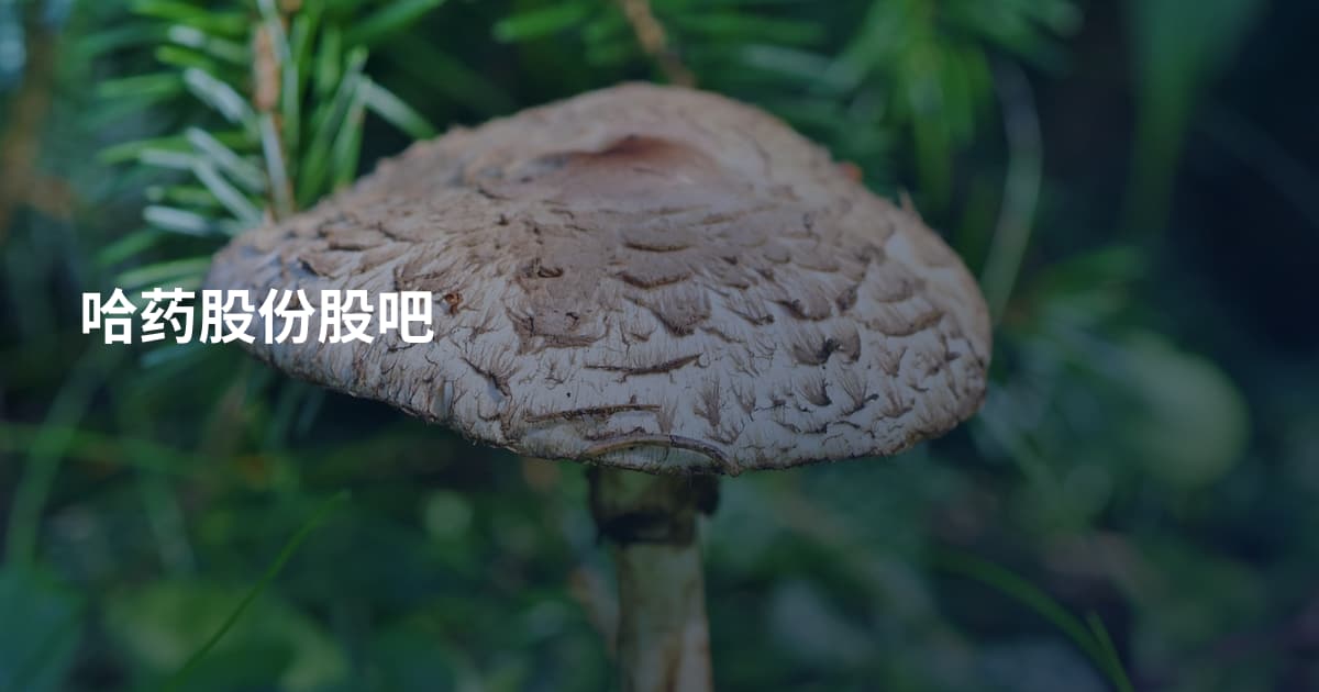 哈药股份股吧