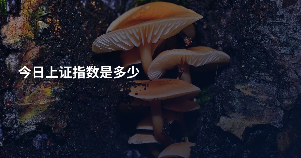 今日上证指数是多少