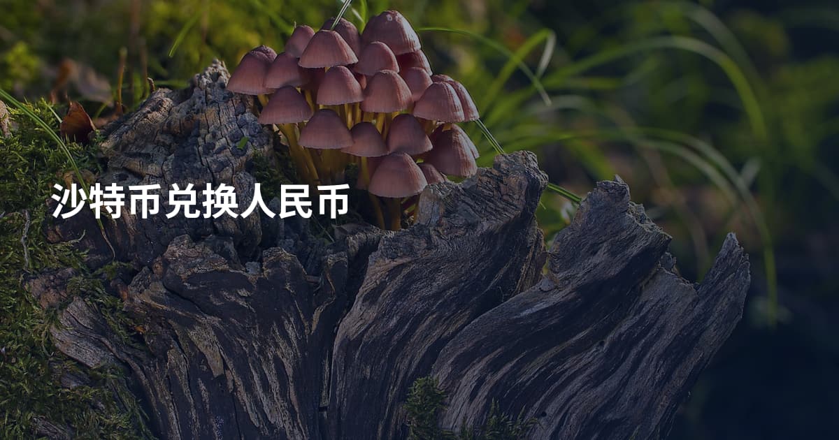 沙特币兑换人民币