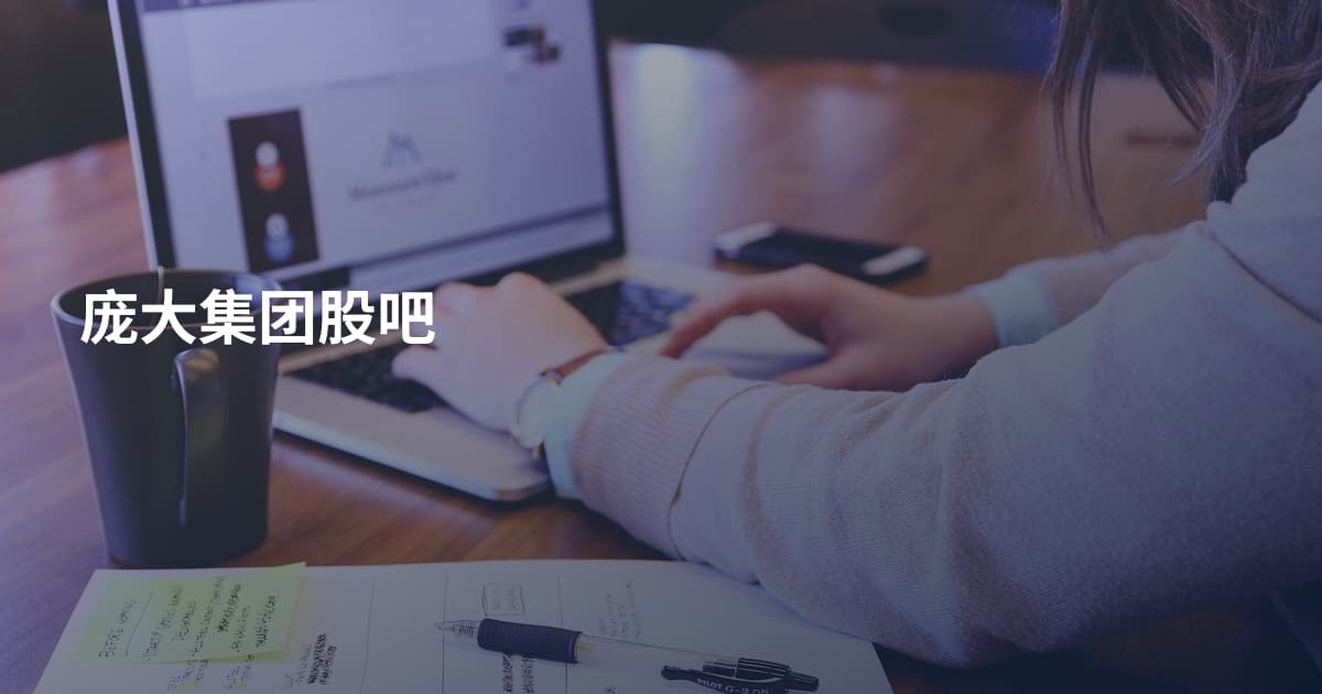 庞大集团股吧