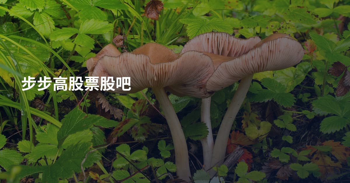 步步高股票股吧