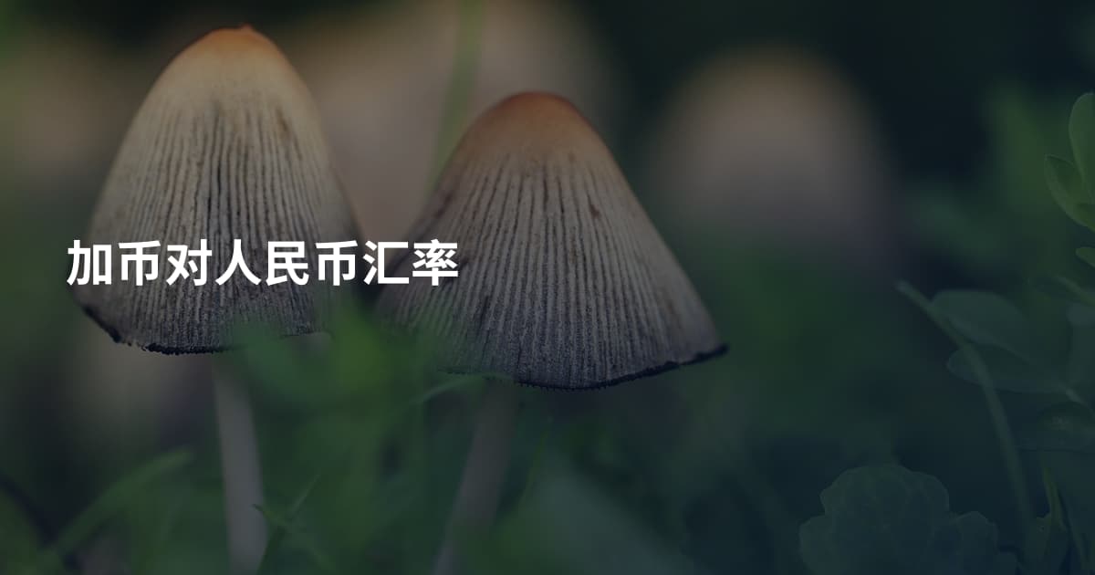 加币对人民币汇率