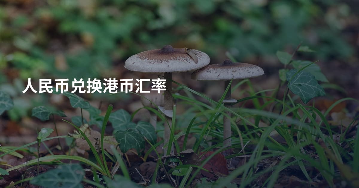 人民币兑换港币汇率