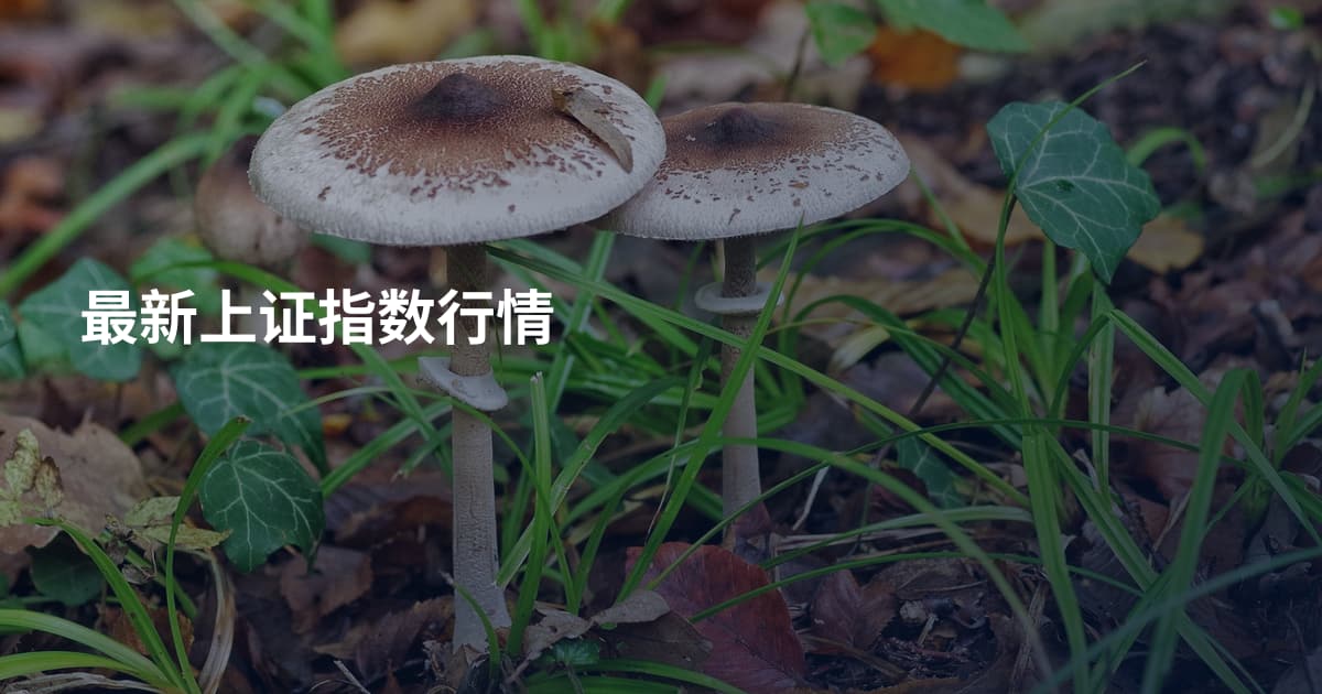 最新上证指数行情