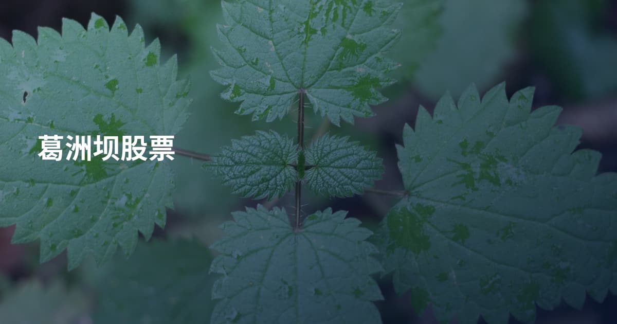 葛洲坝股票