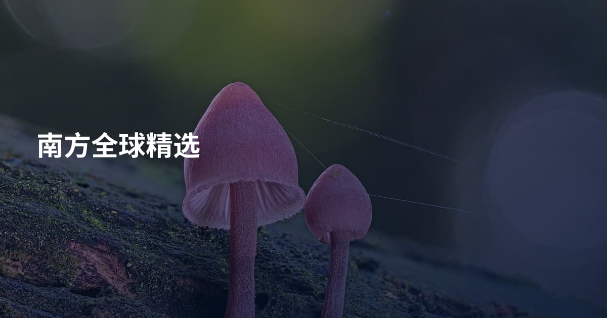 南方全球精选