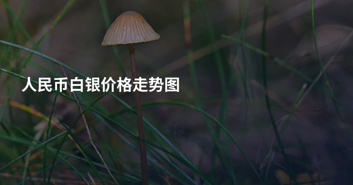 人民币白银价格走势图