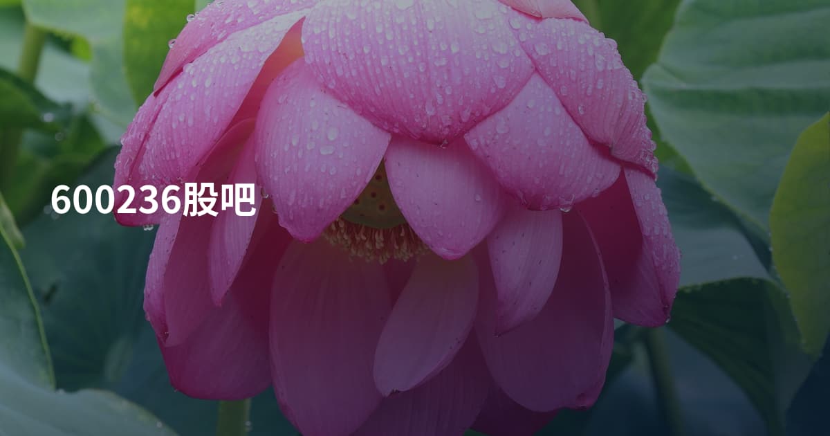 600236股吧