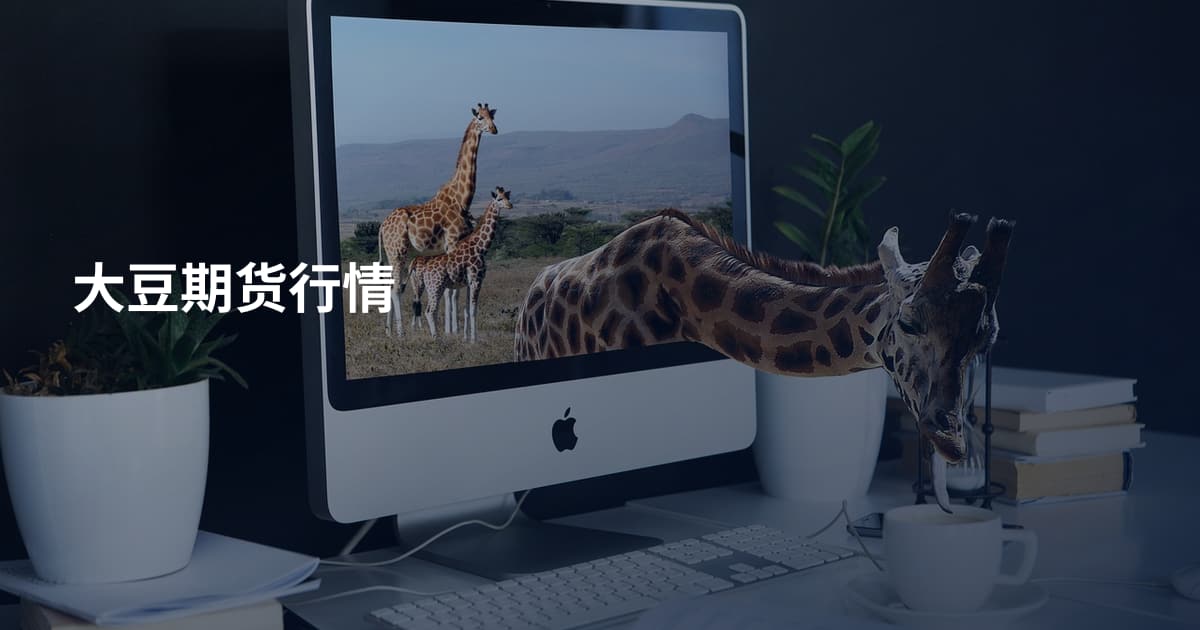 大豆期货行情