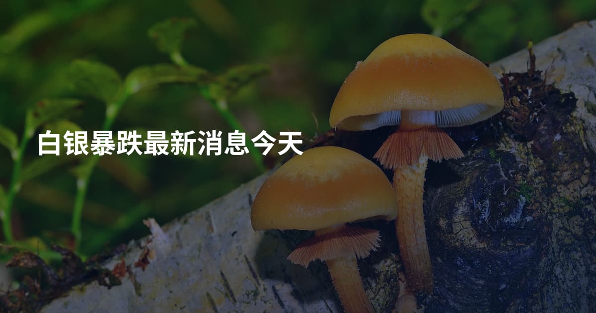 白银暴跌最新消息今天