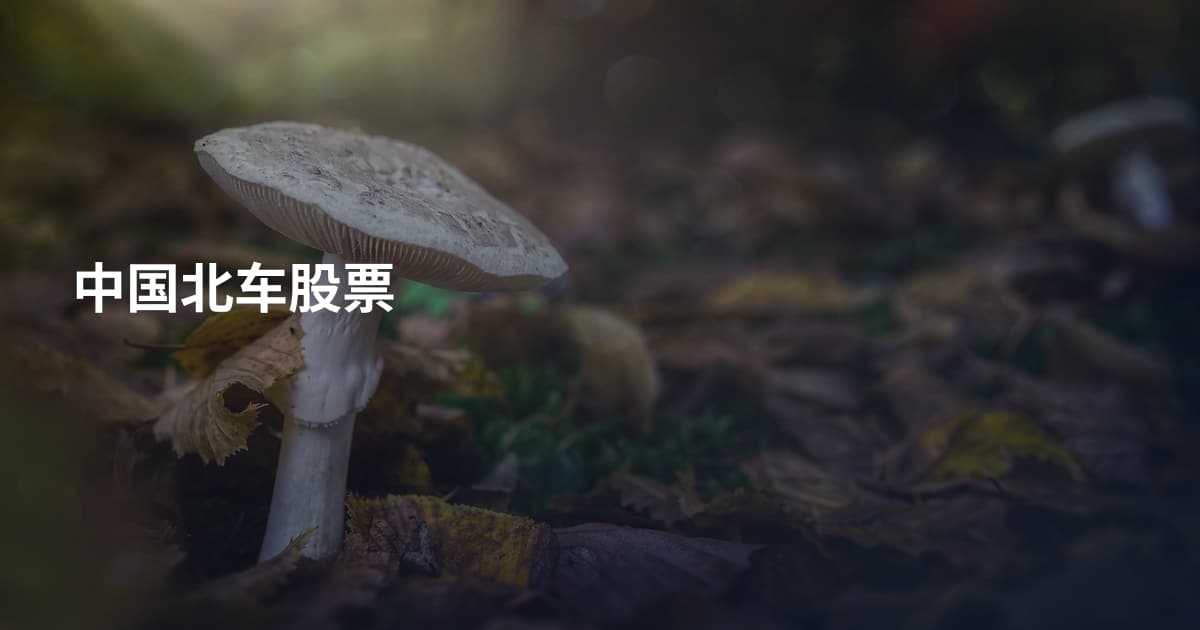 中国北车股票