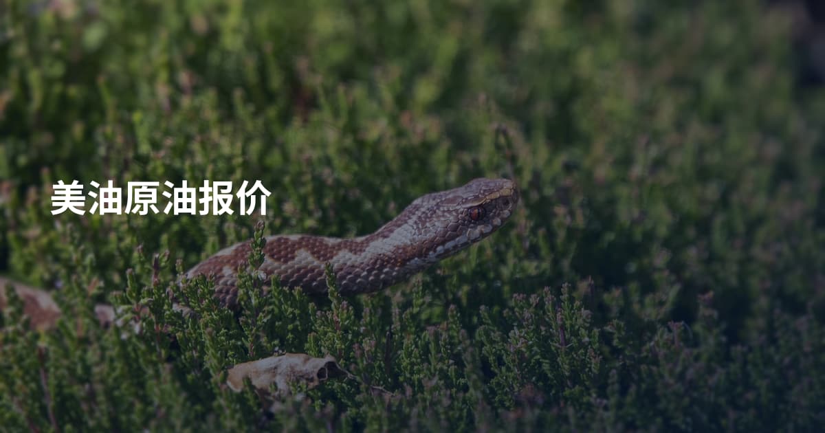 美油原油报价