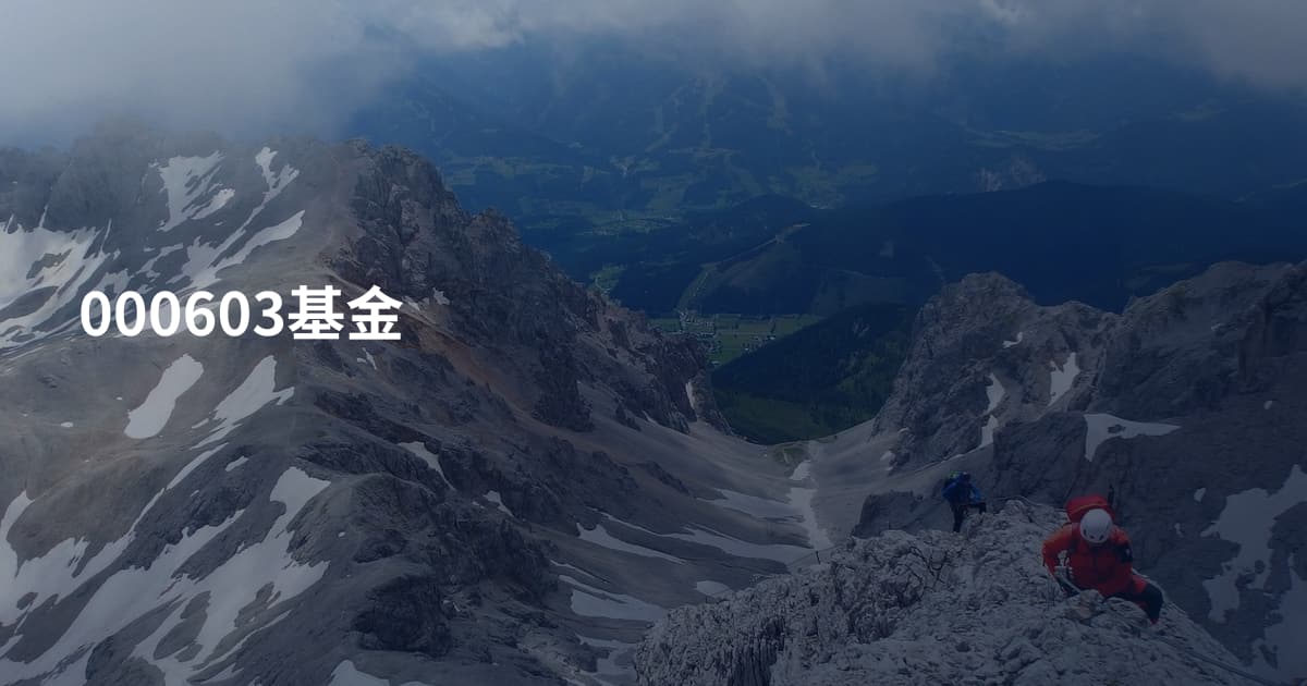 000603基金