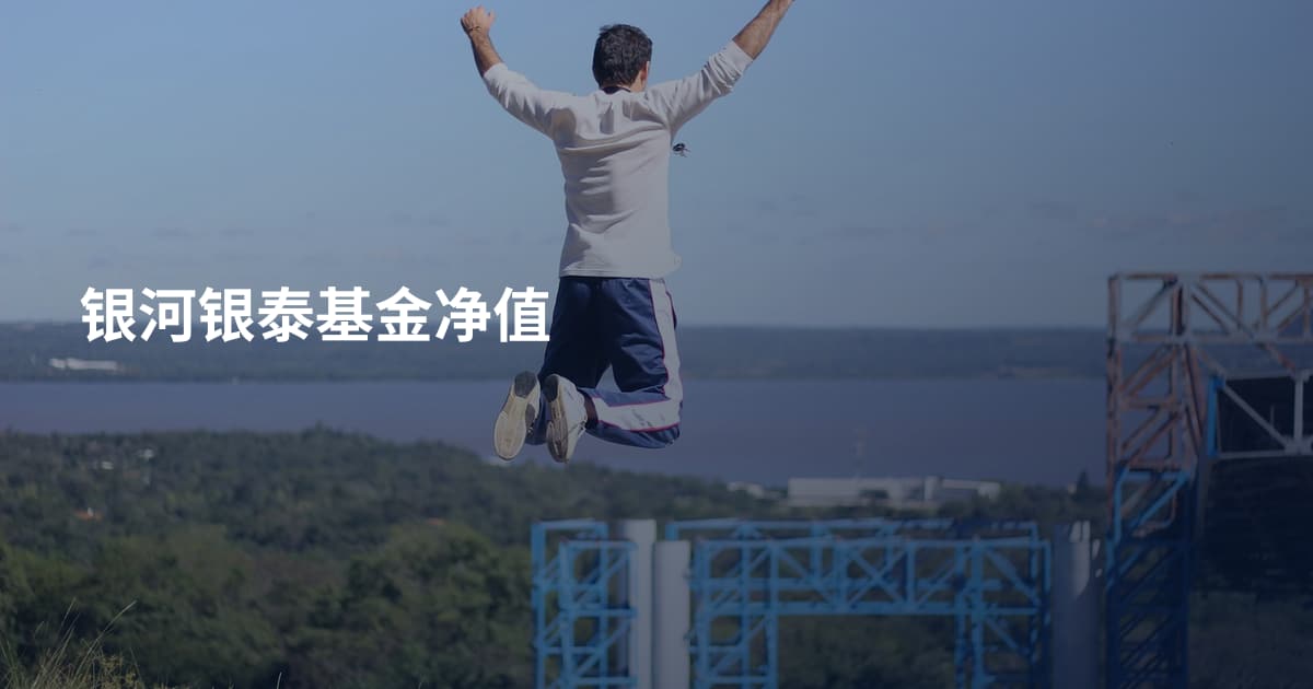 银河银泰基金净值