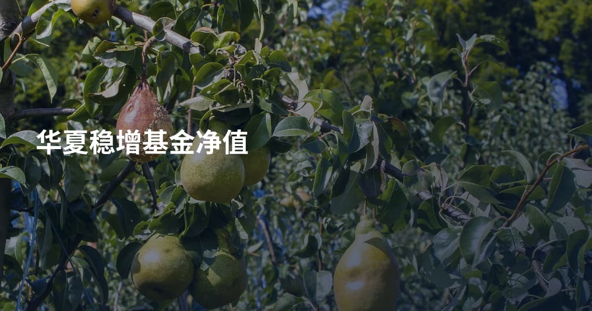 华夏稳增基金净值