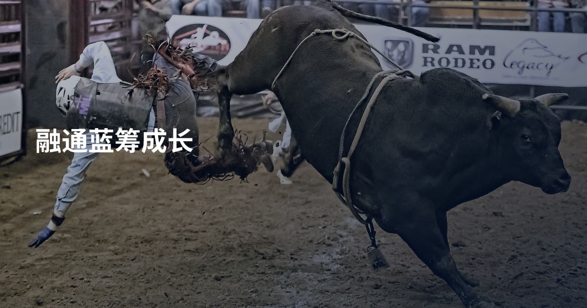 融通蓝筹成长