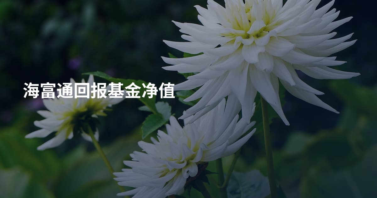 海富通回报基金净值