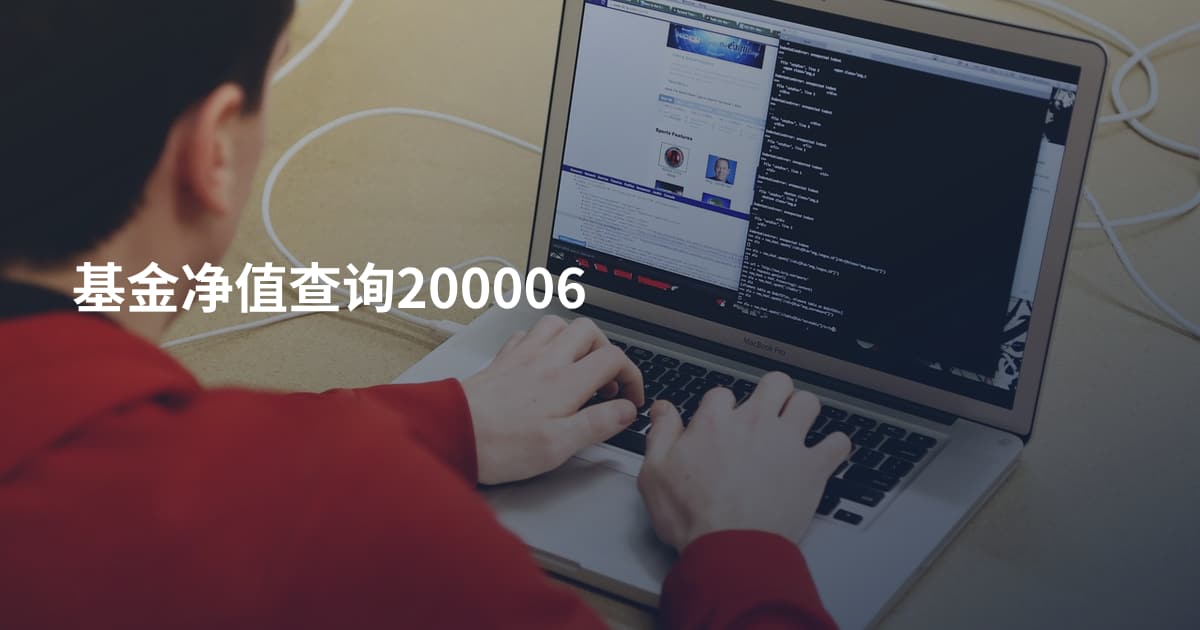 基金净值查询200006