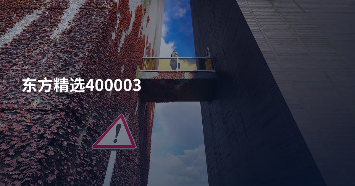 东方精选400003