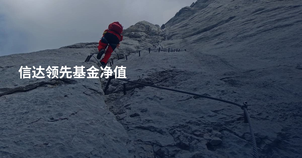 信达领先基金净值