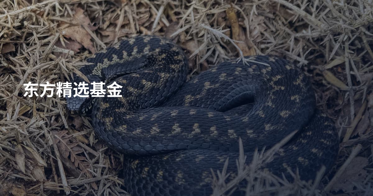 东方精选基金
