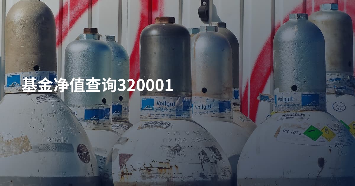 基金净值查询320001