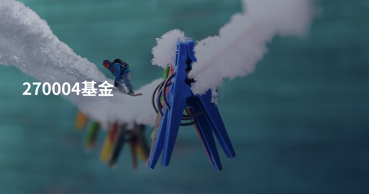 270004基金
