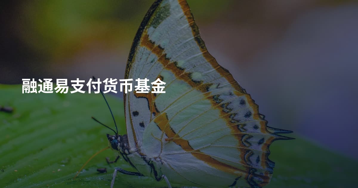 融通易支付货币基金