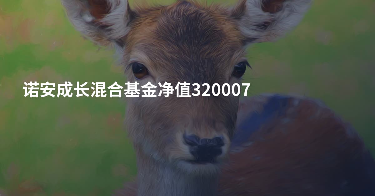 诺安成长混合基金净值320007