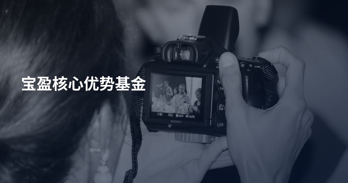 宝盈核心优势基金