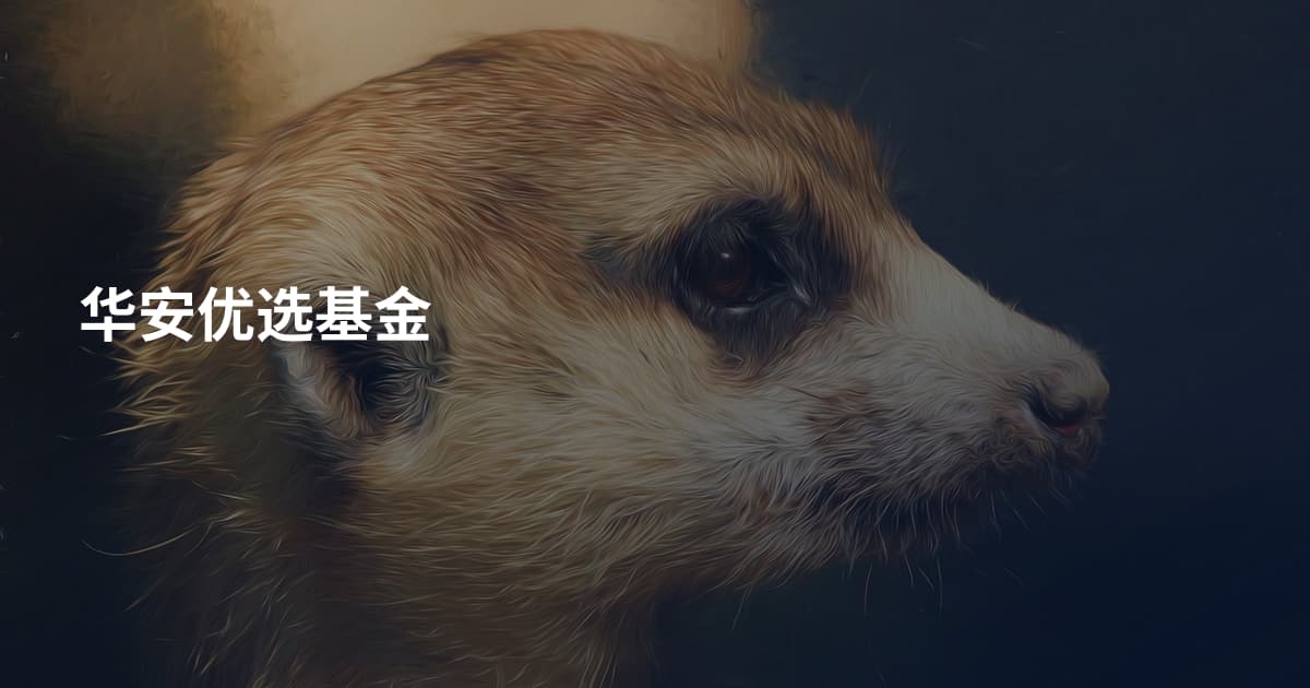 华安优选基金