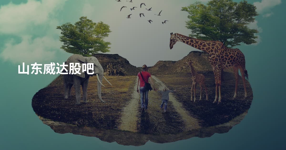 山东威达股吧