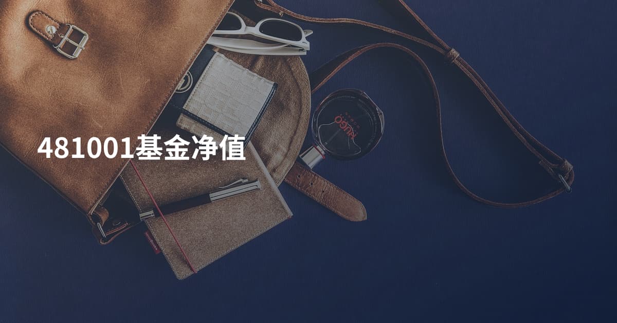 481001基金净值