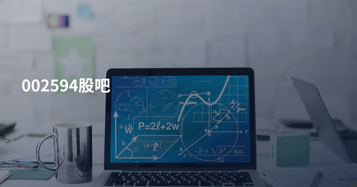 002594股吧
