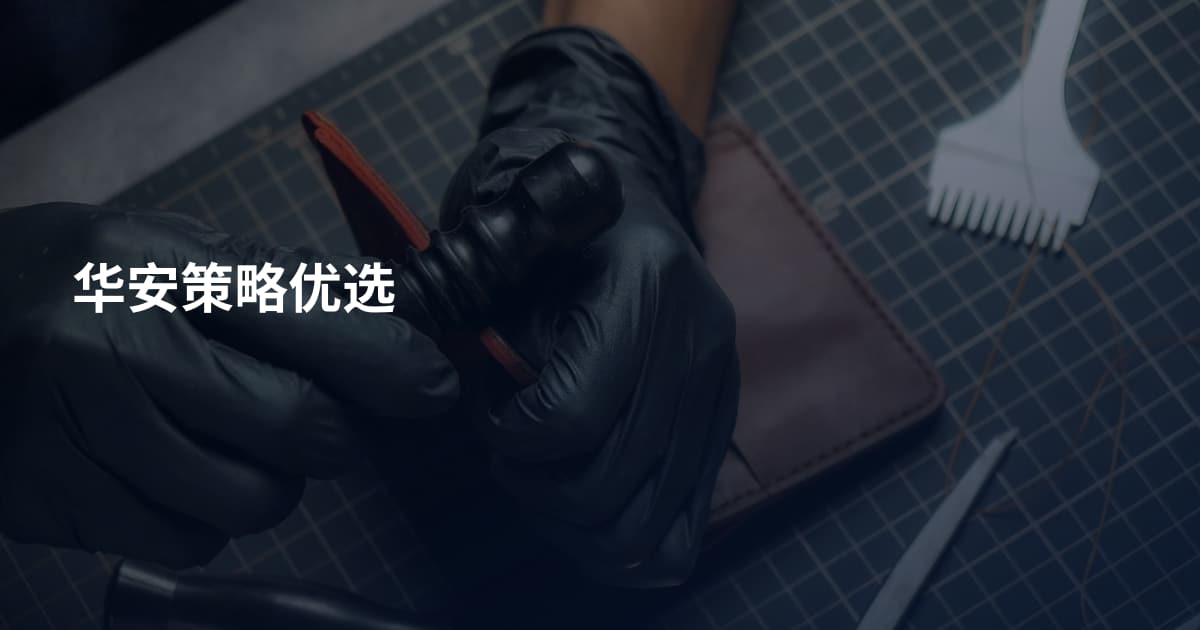 华安策略优选