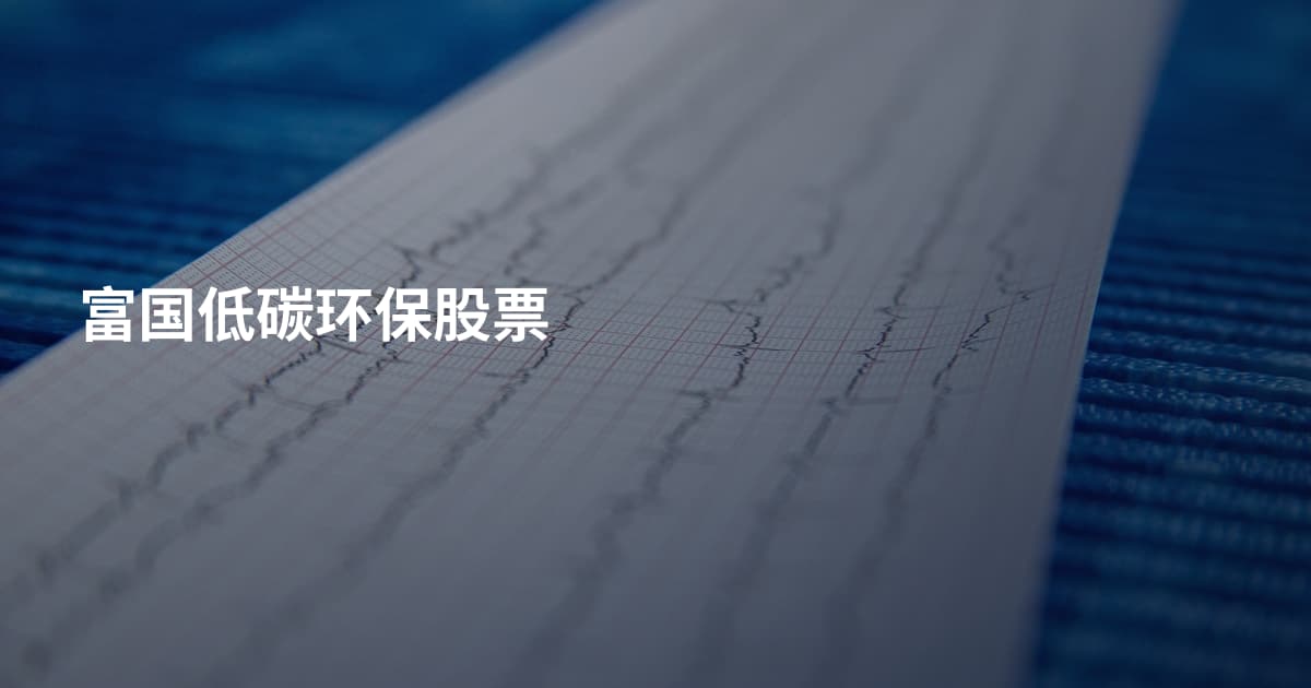 富国低碳环保股票