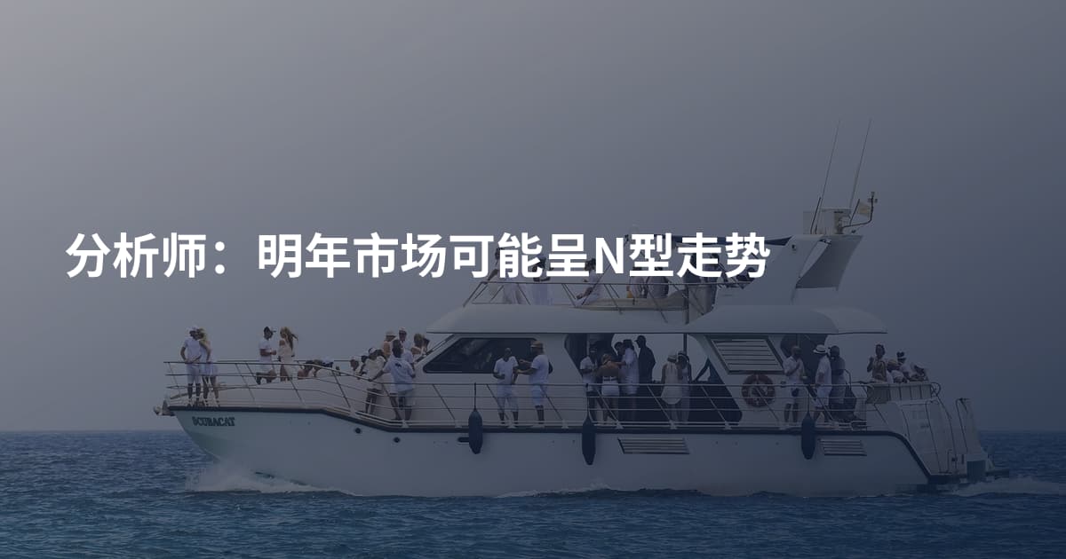 分析师：明年市场可能呈N型走势