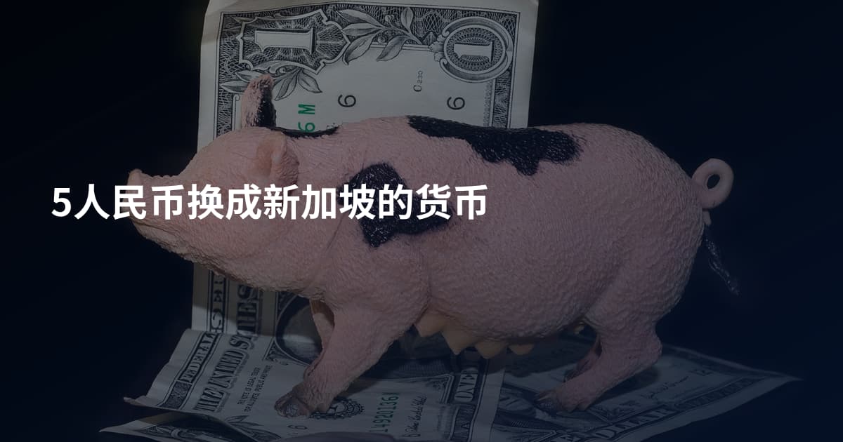 5人民币换成新加坡的货币