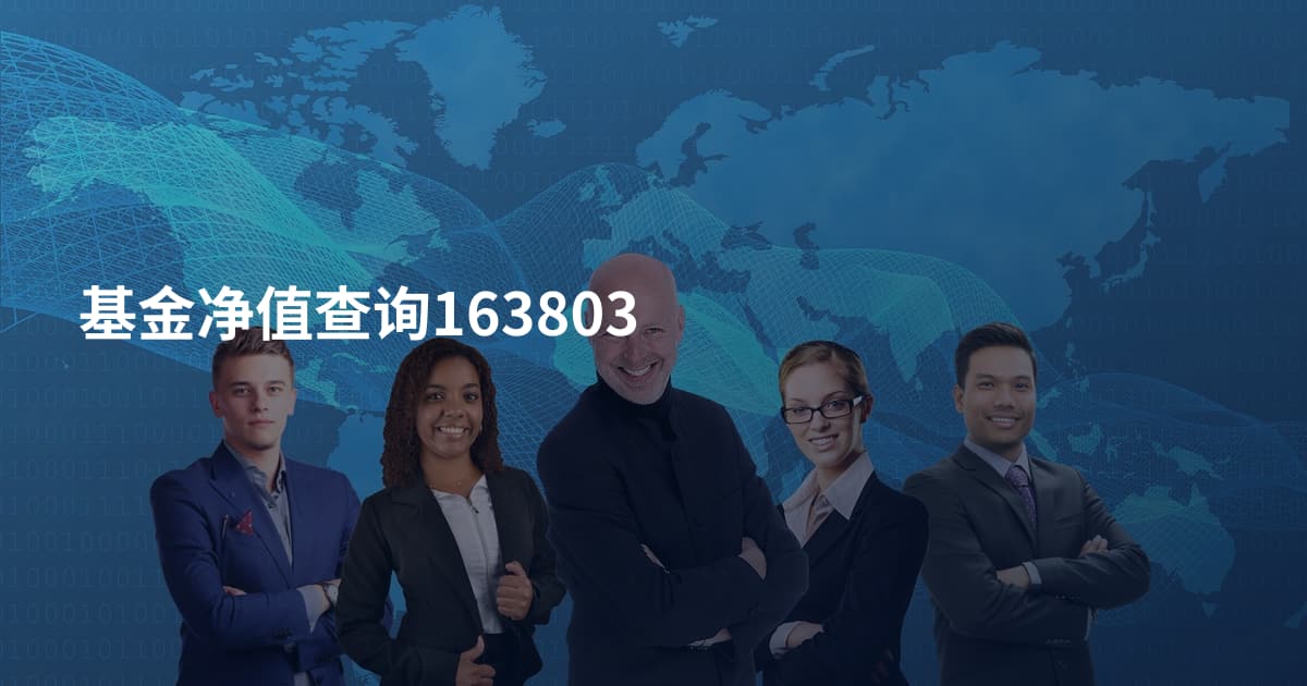 基金净值查询163803