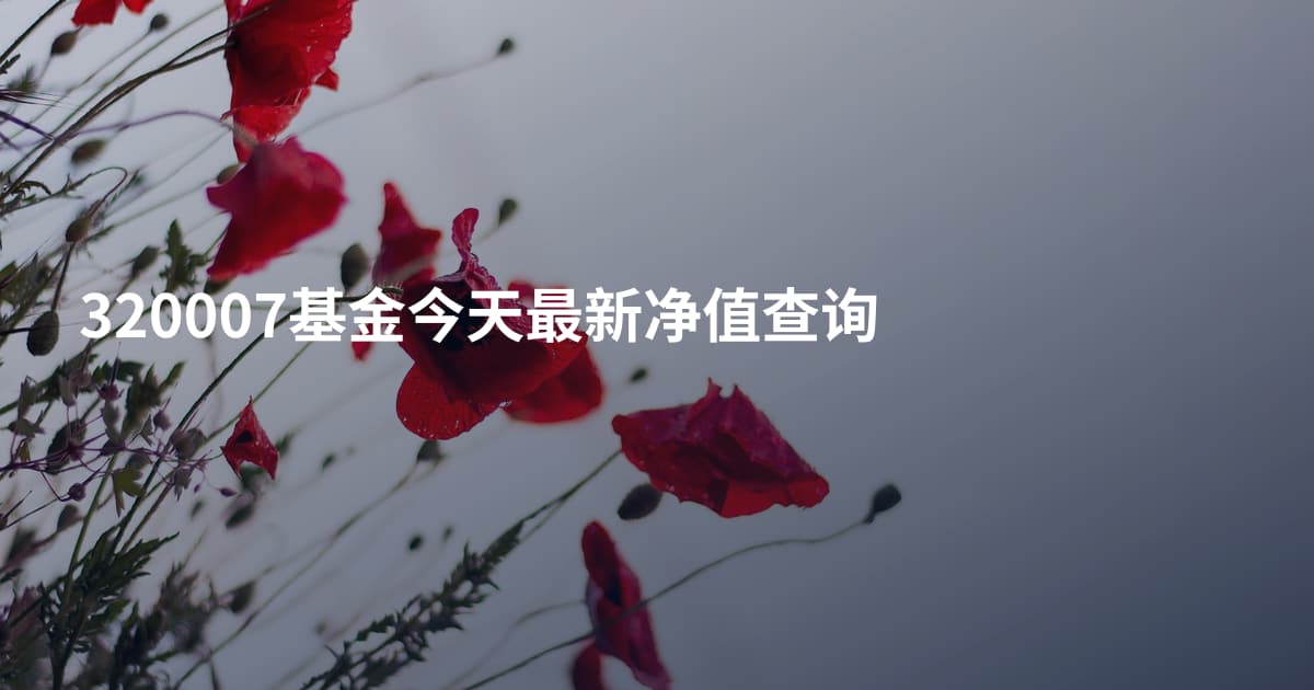 320007基金今天最新净值查询