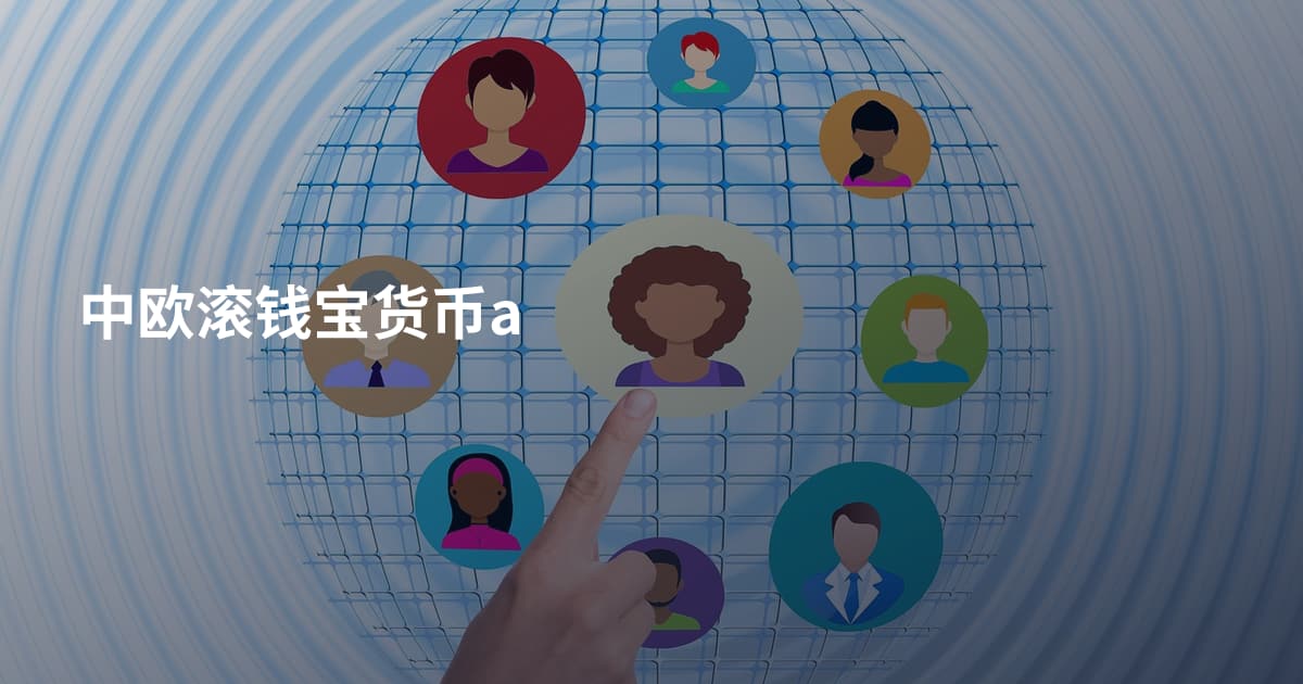 中欧滚钱宝货币a