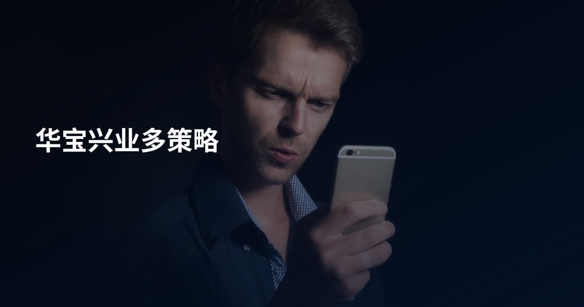 华宝兴业多策略