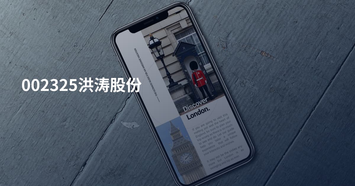 002325洪涛股份