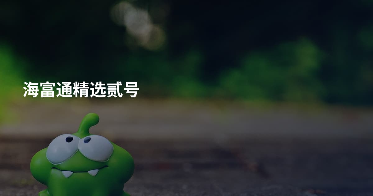 海富通精选贰号